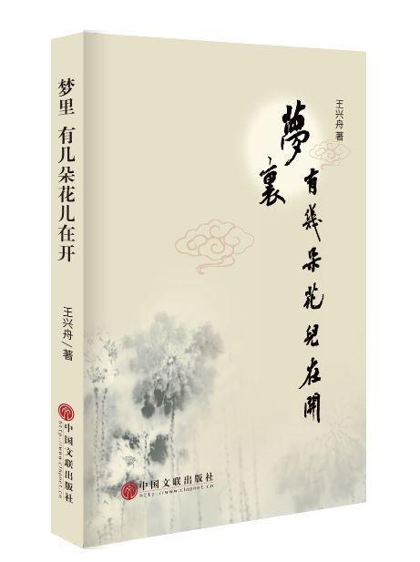 王興舟《夢(mèng)里 有幾朵花兒在開(kāi)》：告訴你散文最寶貴的品質(zhì)是什么