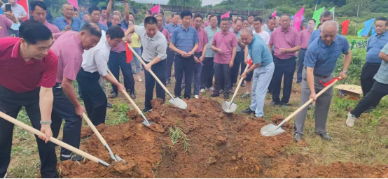 祖先福地好風(fēng)光 葉茂根深播若芳