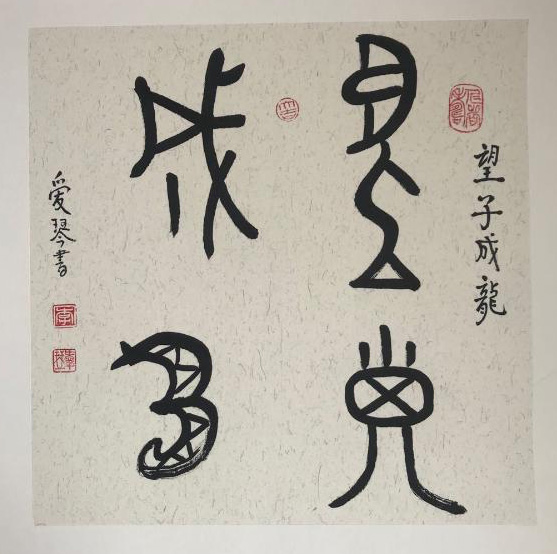 中國(guó)當(dāng)代實(shí)力派書(shū)畫(huà)名家李?lèi)?ài)琴書(shū)法藝術(shù)欣賞