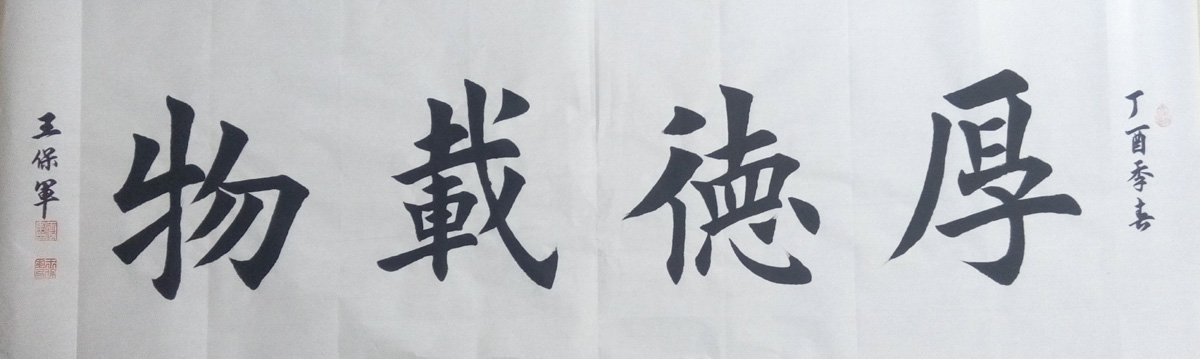 中國當(dāng)代實(shí)力派書畫名家王保軍書法藝術(shù)欣賞