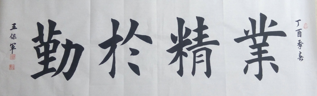 中國當(dāng)代實(shí)力派書畫名家王保軍書法藝術(shù)欣賞