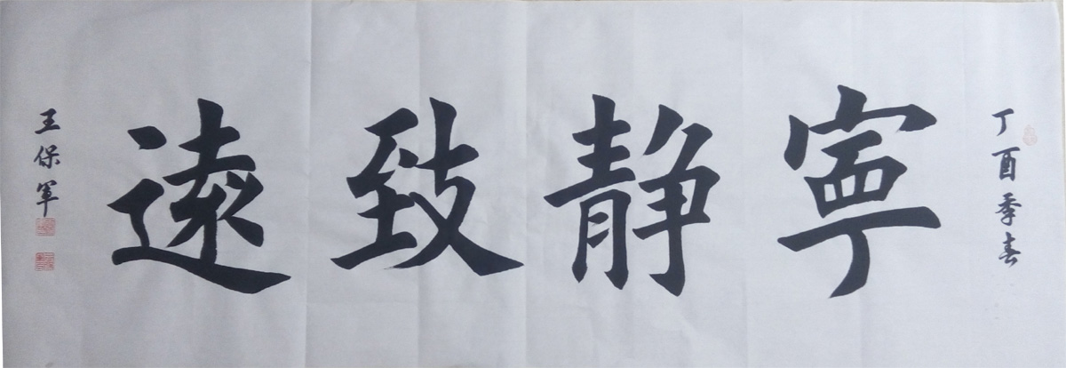 中國當(dāng)代實(shí)力派書畫名家王保軍書法藝術(shù)欣賞