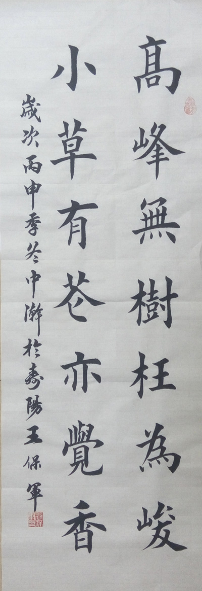 中國當(dāng)代實(shí)力派書畫名家王保軍書法藝術(shù)欣賞